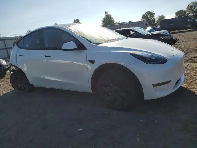2025 TESLA MODEL Y