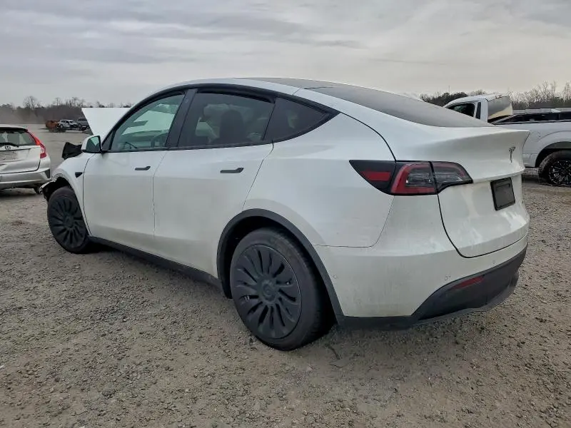 2020 TESLA MODEL Y   