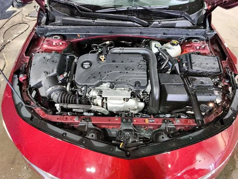 2019 CHEVROLET MALIBU LT  