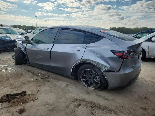 2025 TESLA MODEL Y   