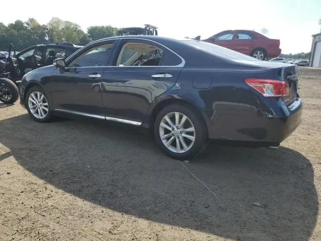 2010 LEXUS ES 350  