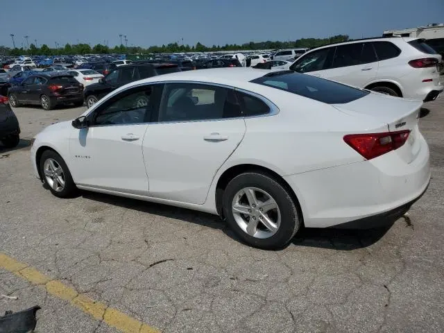 2024 CHEVROLET MALIBU LS  