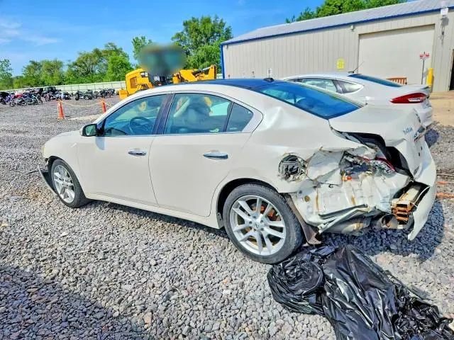 2010 NISSAN MAXIMA S/SV  