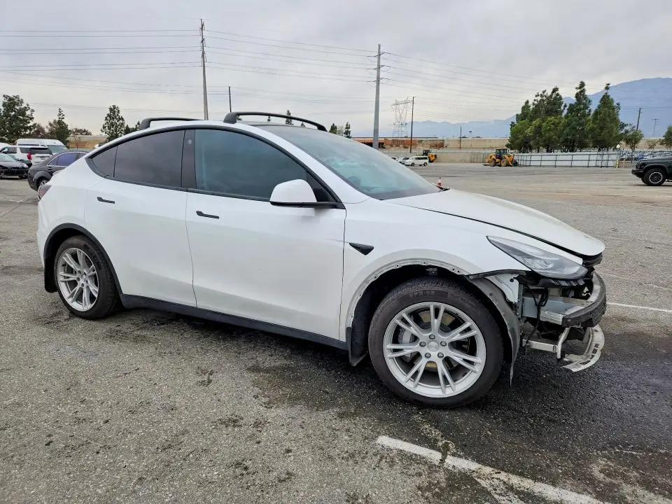 2021 TESLA MODEL Y   