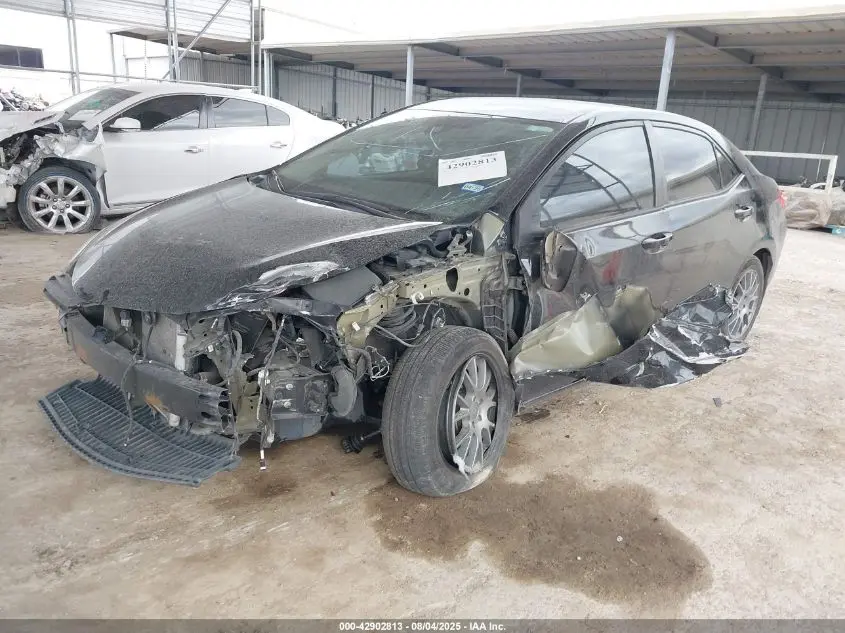 2019 TOYOTA COROLLA LE