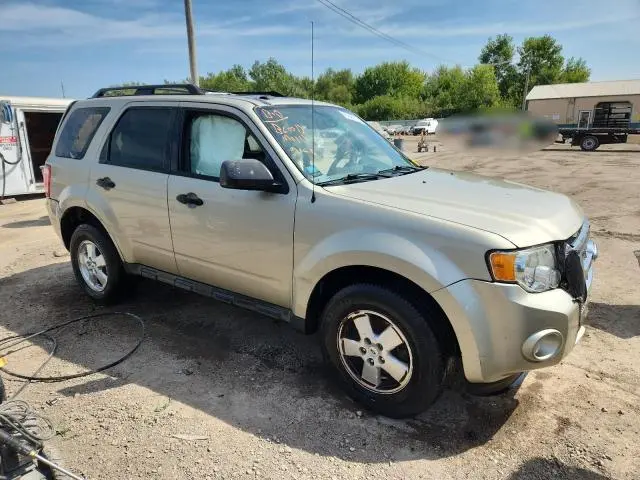 2011 FORD ESCAPE XLT  