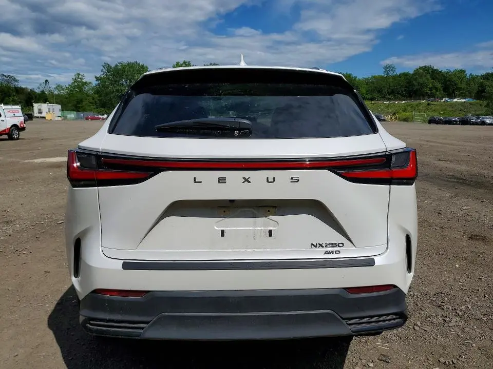2023 LEXUS NX 250  