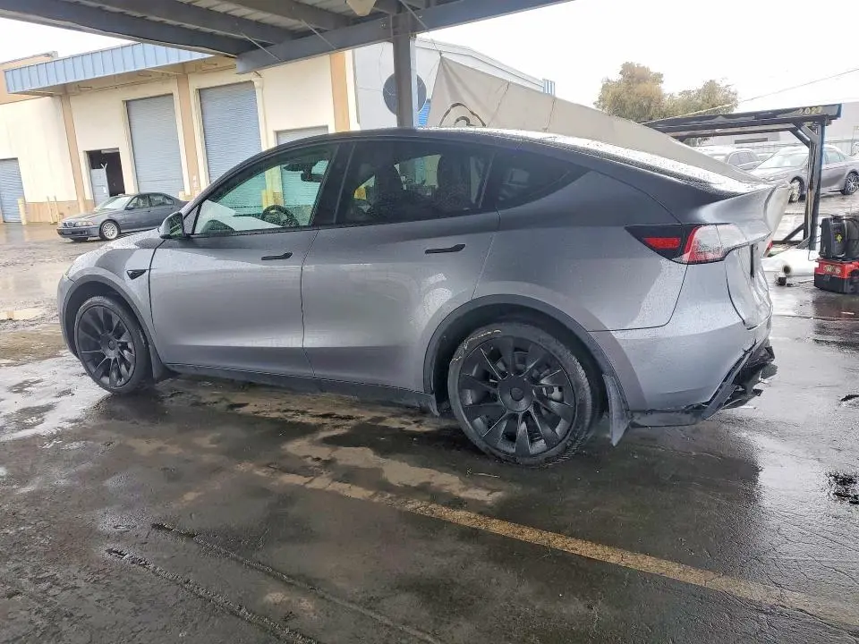 2025 TESLA MODEL Y   