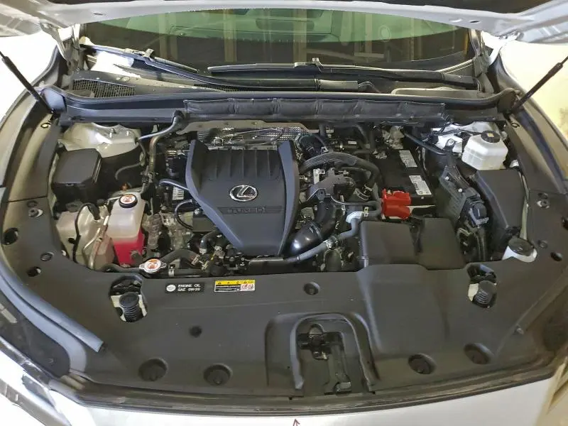 2024 LEXUS RX 350 BASE  