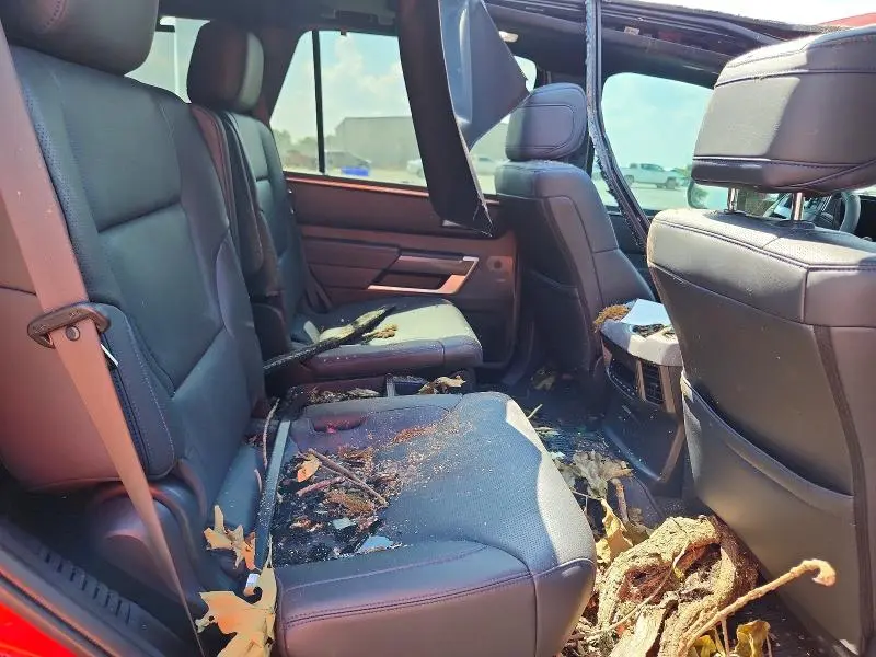 2025 TOYOTA SEQUOIA PLATINUM  