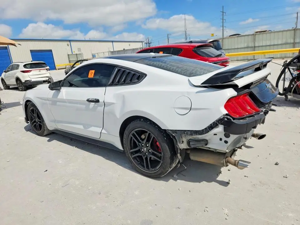 2019 FORD MUSTANG   