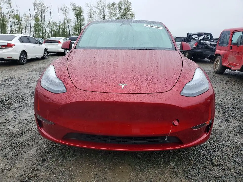2024 TESLA MODEL Y   