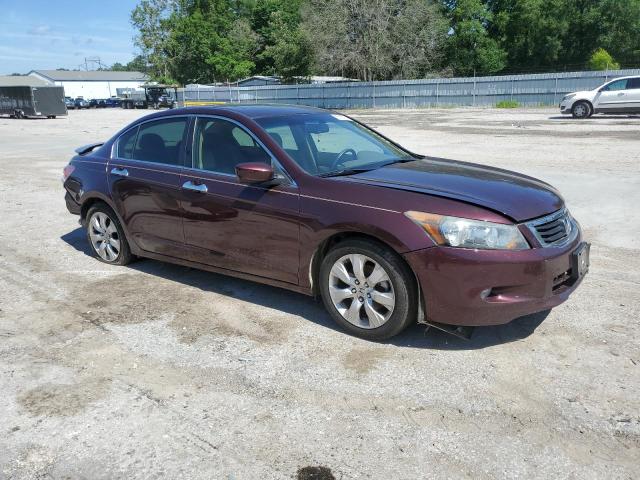 2010 HONDA ACCORD EXL