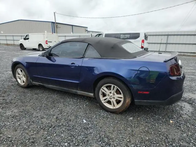 2010 FORD MUSTANG   