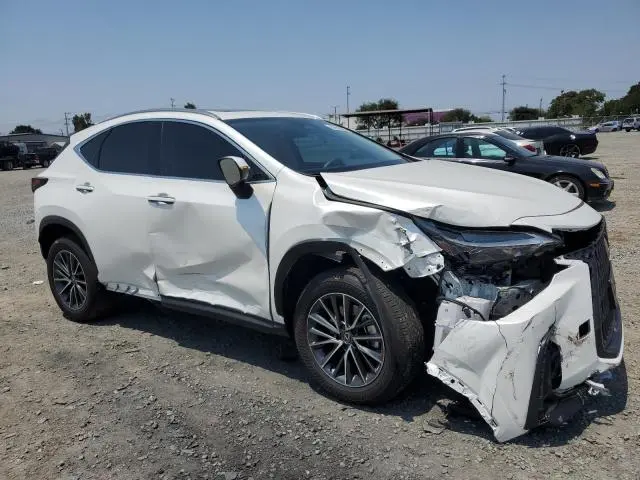 2024 LEXUS NX 250 BASE  