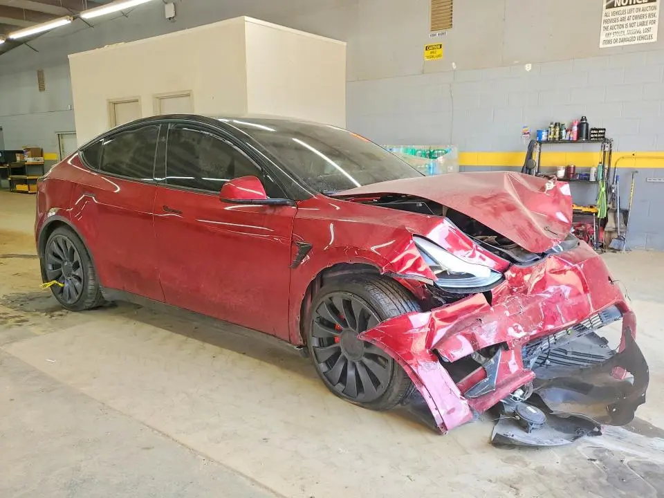 2025 TESLA MODEL Y   