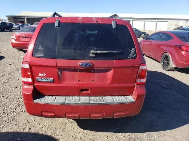2010 FORD ESCAPE XLT  