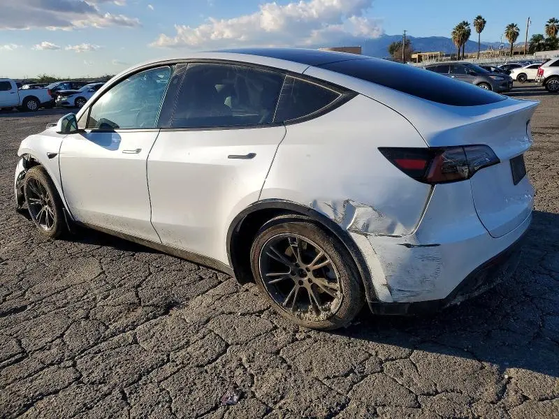 2024 TESLA MODEL Y   