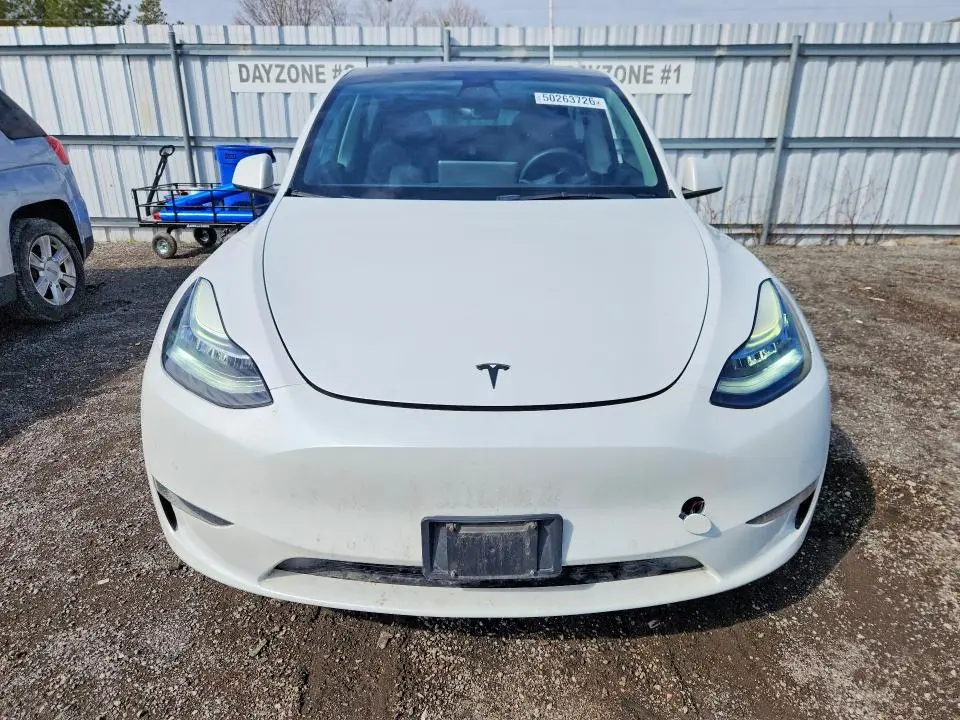 2021 TESLA MODEL Y   