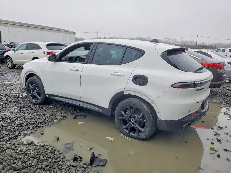 2024 DODGE HORNET R  