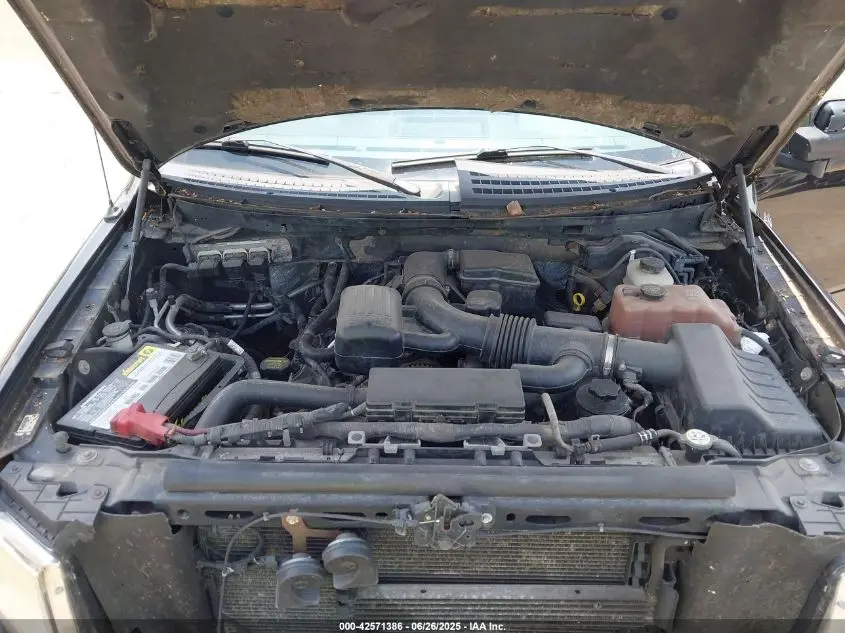 2010 FORD F-150 FX4/LARIAT/XL/XLT