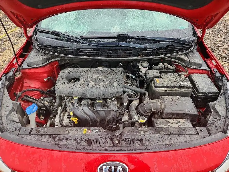 2019 KIA RIO S  