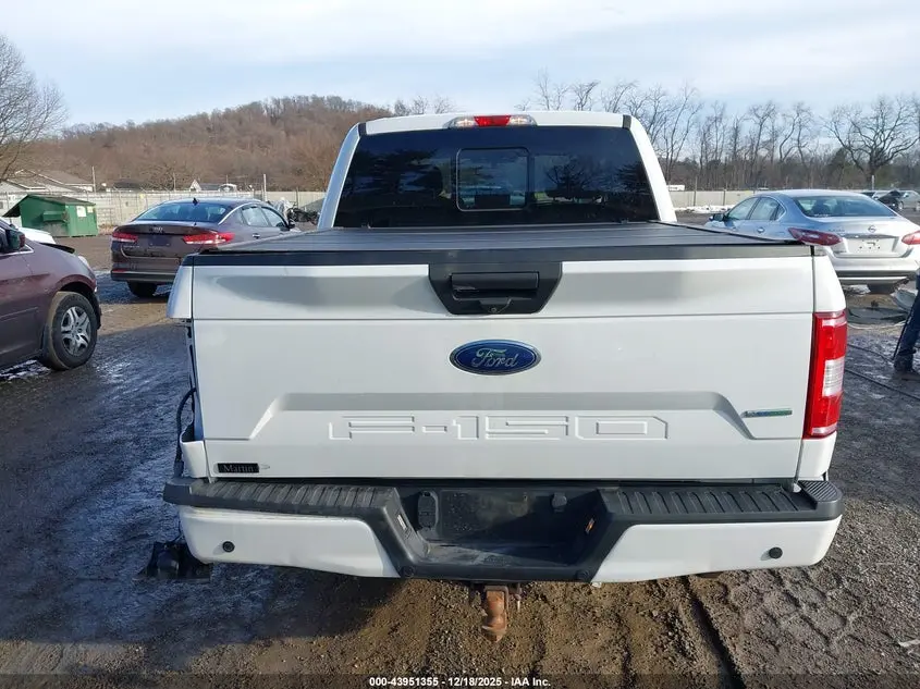 2019 FORD F-150 XLT