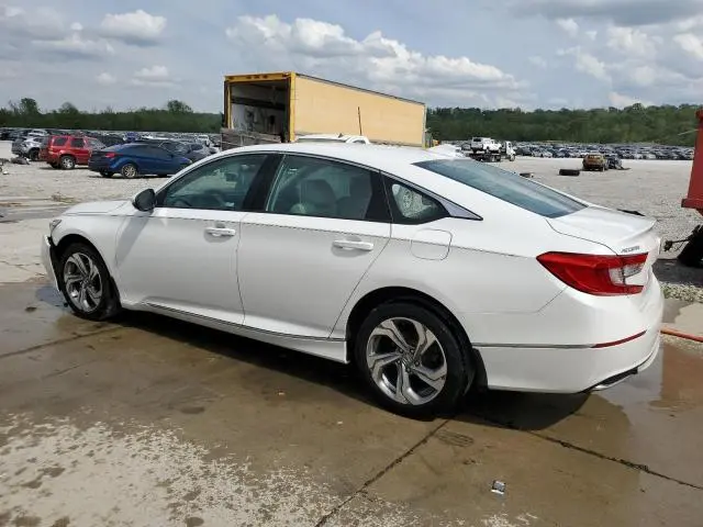 2019 HONDA ACCORD EXL