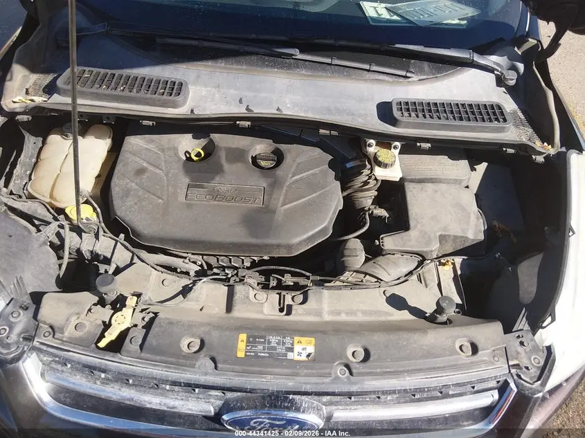 2013 FORD ESCAPE SEL