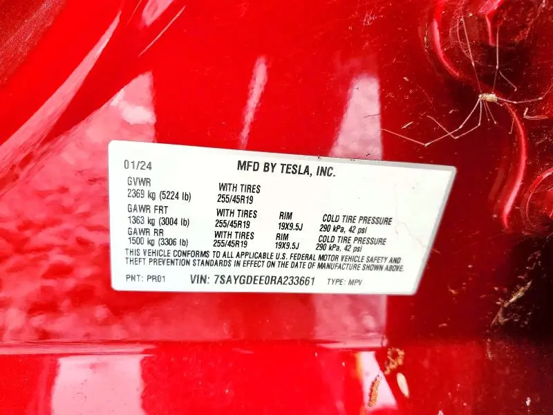 2024 TESLA MODEL Y   