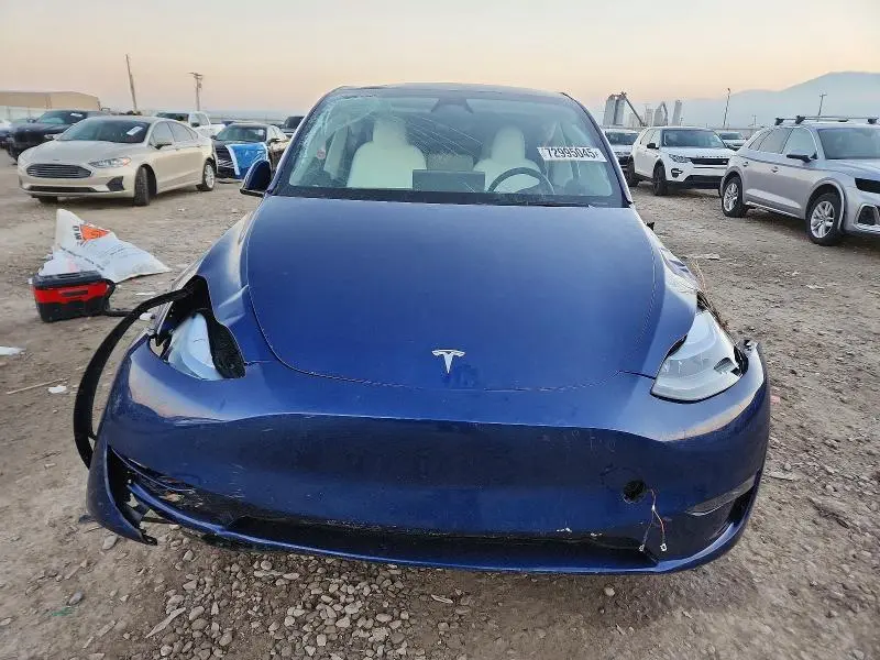 2025 TESLA MODEL Y   