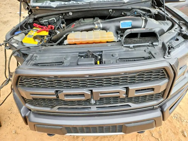 2019 FORD F150 RAPTOR  