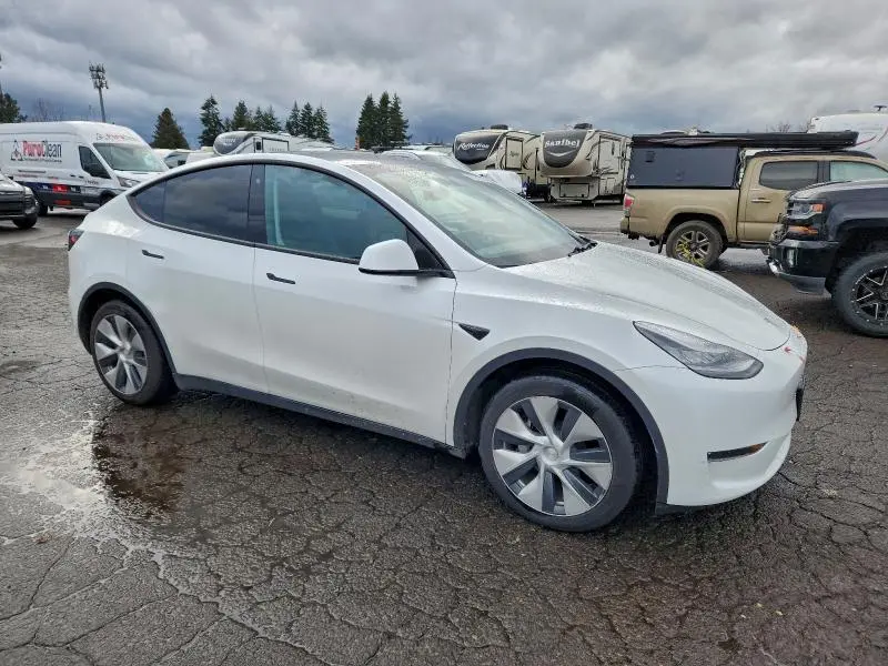 2020 TESLA MODEL Y   