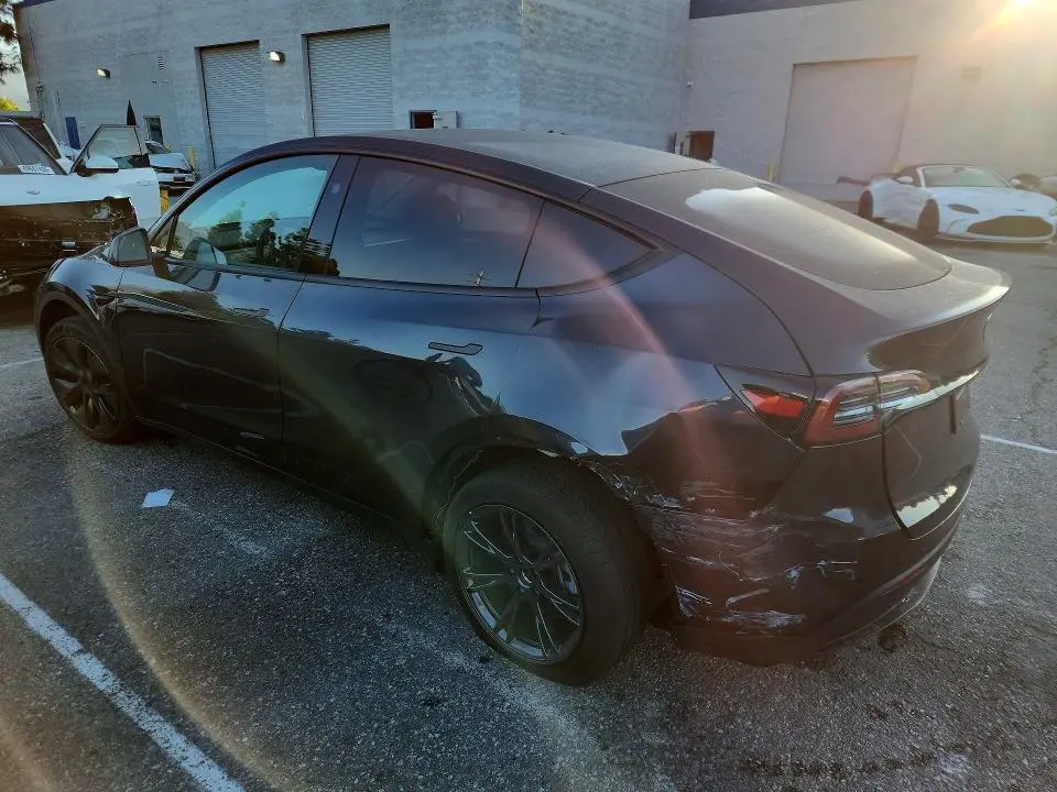 2025 TESLA MODEL Y   