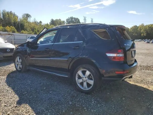 2010 MERCEDES-BENZ ML 350  