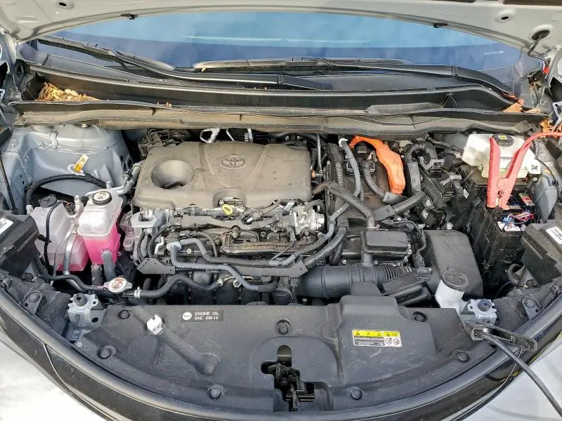 2025 TOYOTA SIENNA XSE  