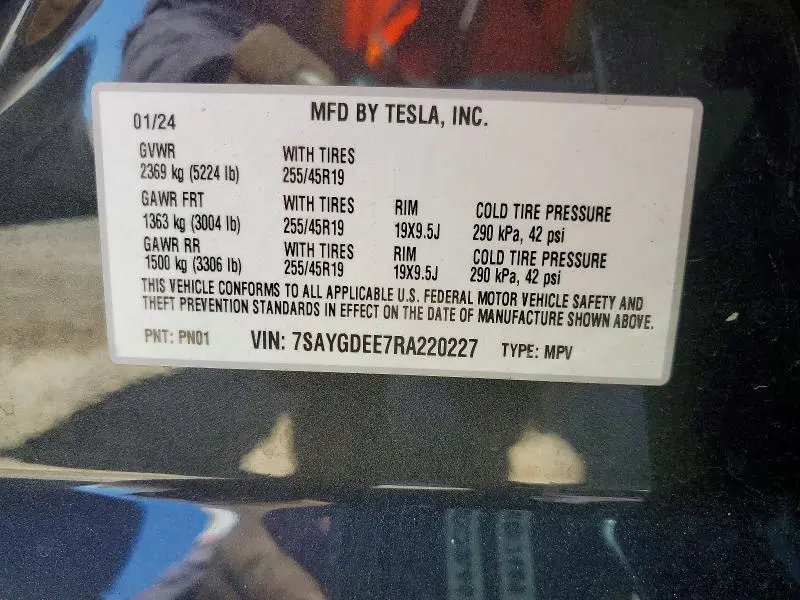 2024 TESLA MODEL Y   