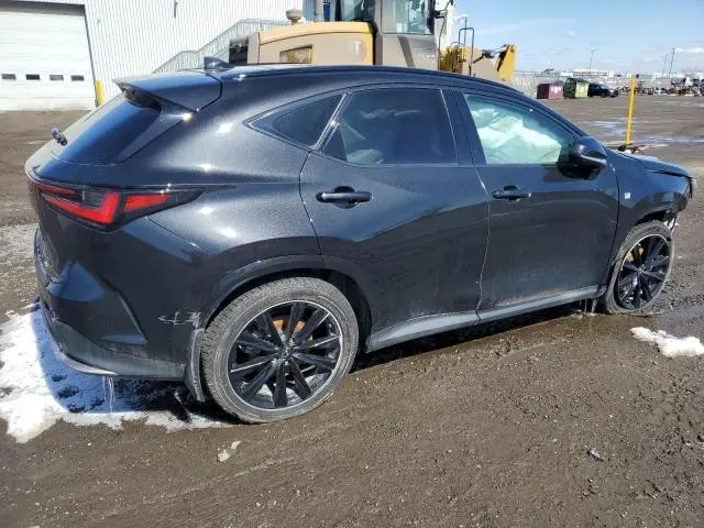 2024 LEXUS NX 350 LUXURY  