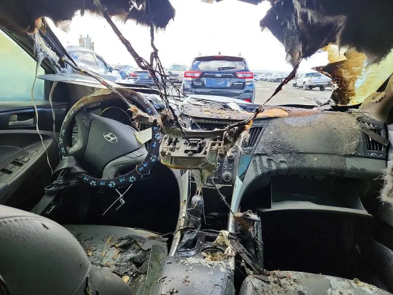 2013 HYUNDAI SONATA SE  