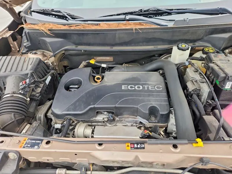 2019 CHEVROLET EQUINOX LS  