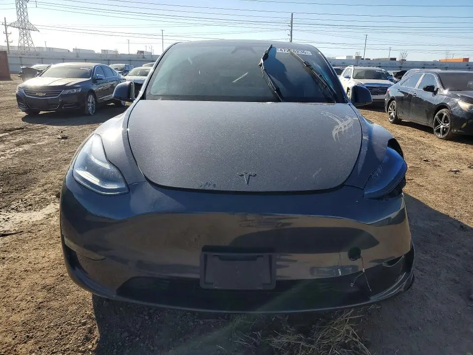 2025 TESLA MODEL Y   