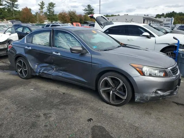 2010 HONDA ACCORD EXL  
