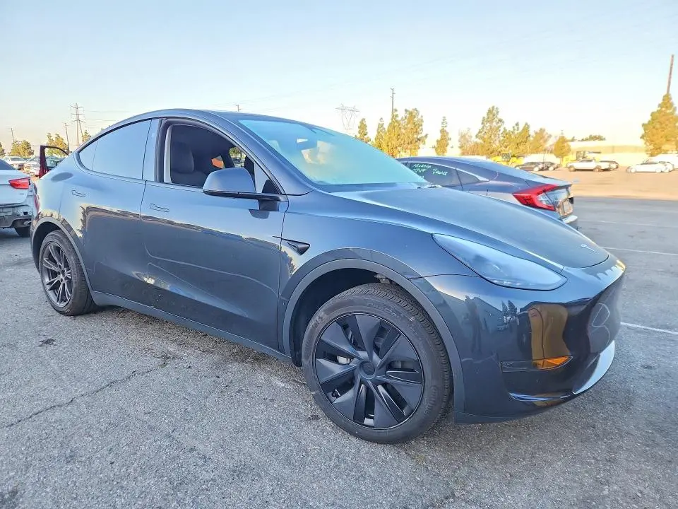 2025 TESLA MODEL Y   