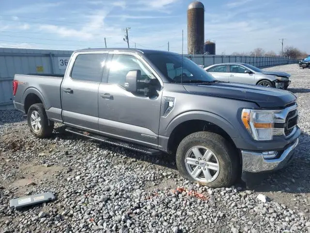 2022 FORD F150 SUPERCREW  