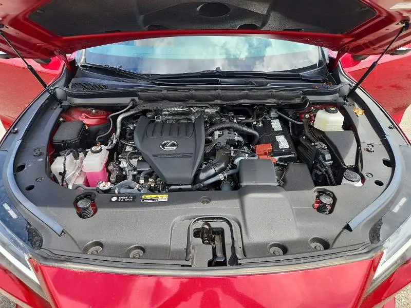 2024 LEXUS RX 350 BASE  