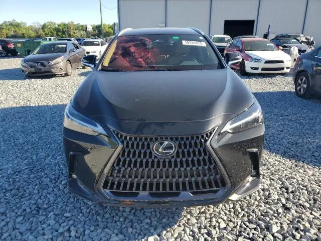 2025 LEXUS NX 250 BASE  