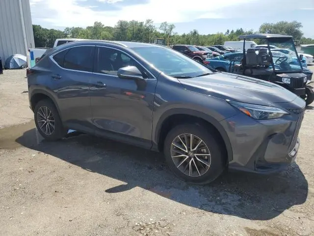 2023 LEXUS NX 250  