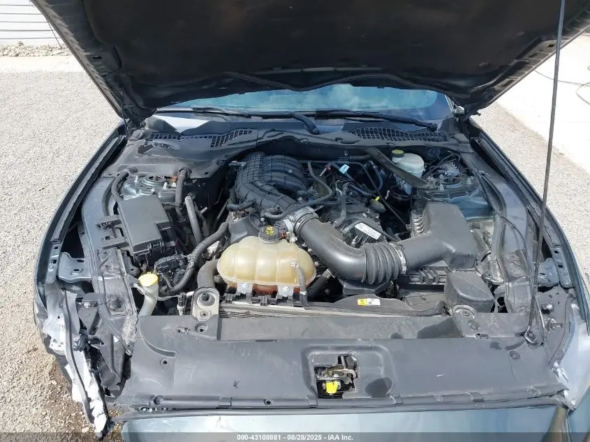 2016 FORD MUSTANG V6