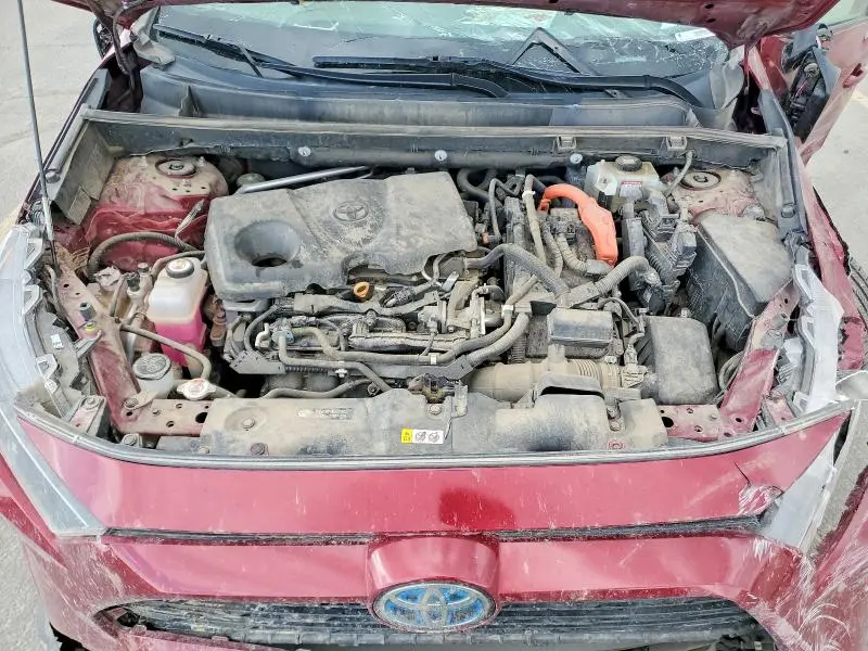 2021 TOYOTA RAV4 LE  