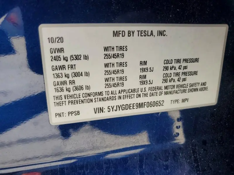 2021 TESLA MODEL Y   